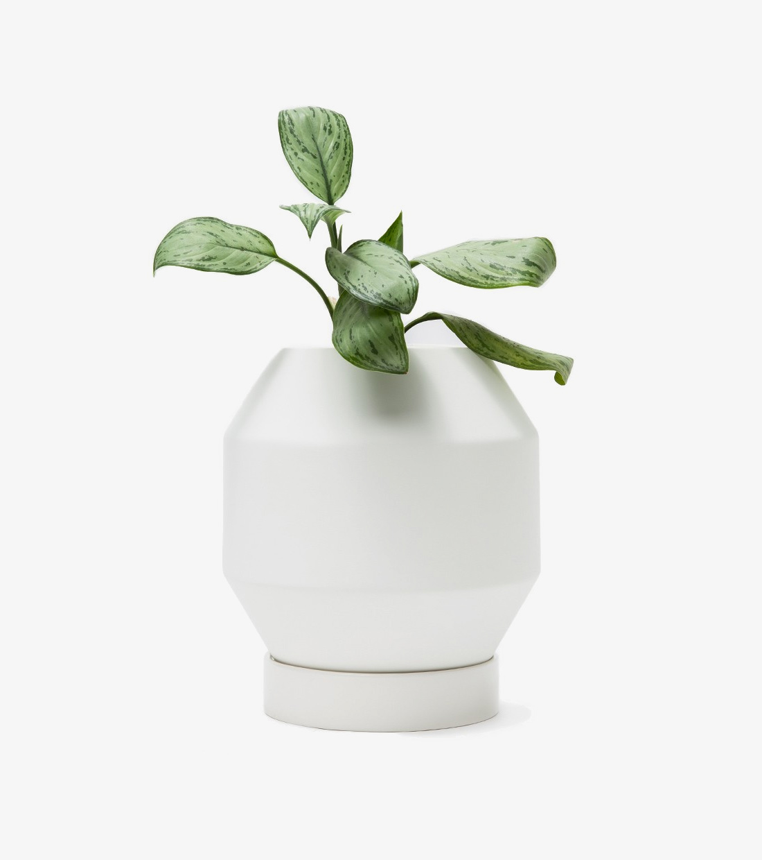 Radial Vessels – Small Planter